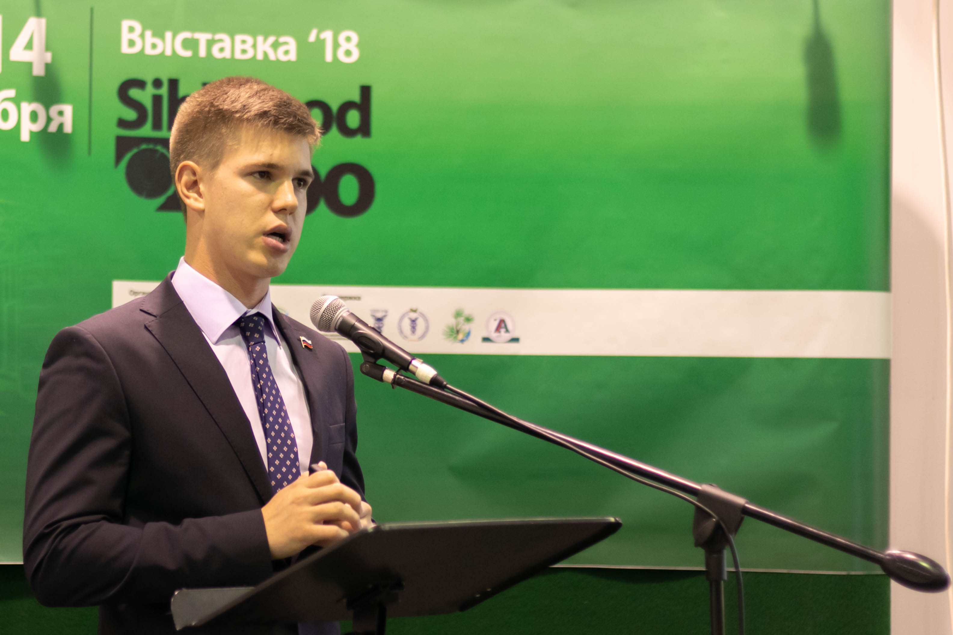 Предварительный просмотр