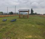 <Фотография после<br>