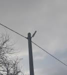 <Фотография после<br>