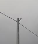 <Фотография после<br>