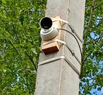 <Фотография после<br>