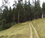 <Фотография до<br>