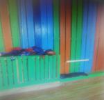 <Фотография до<br>