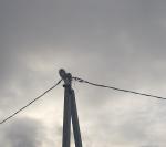 <Фотография до<br>