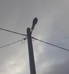 <Фотография до<br>