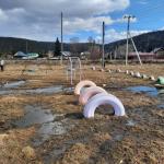 <Фотография до<br>