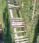 <Фотография до<br>