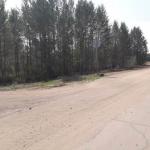 <Фотография до<br>