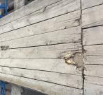 <Фотография до<br>