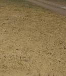 <Фотография до<br>